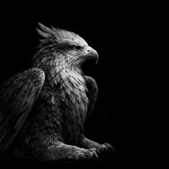 Griffin Stylized Form